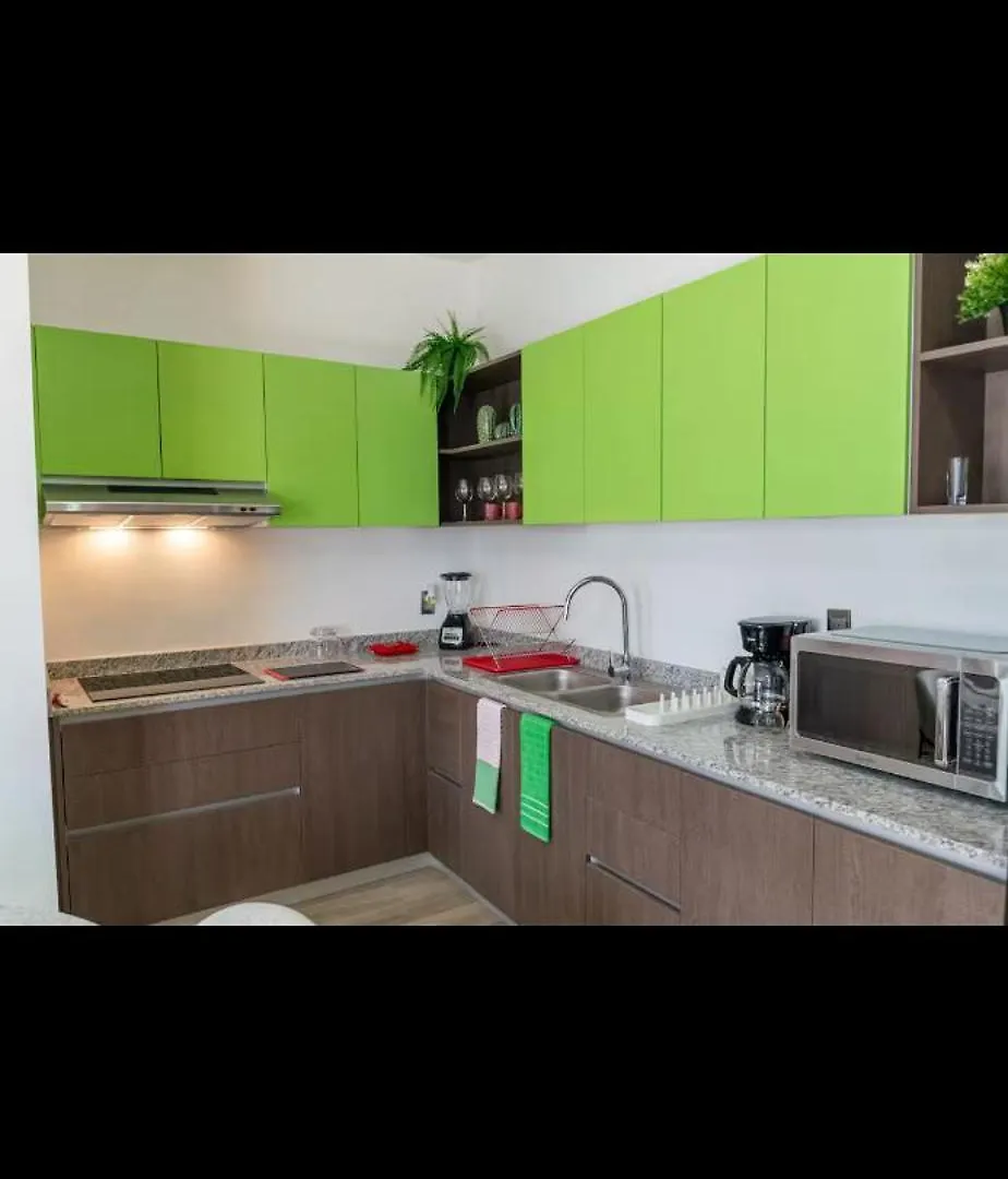 Apartamento Departamento Zona Centro De Guadalajara 0*,